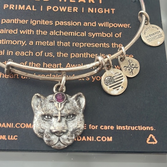 alex and ani wild heart bracelet - Picture 2 of 10